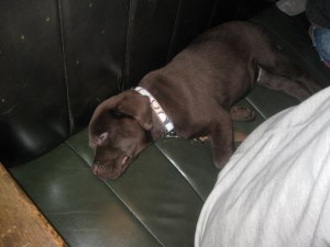 11001820_805659466172114_8302963462502257600_n