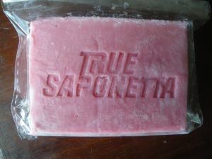 13173966_1069769736427751_5794502432058992406_n