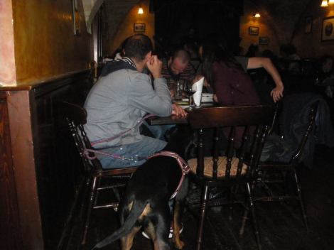 14925588_1229374403800616_2931765023946014017_n