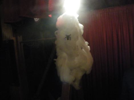 14925692_1223736544364402_4978026422146563120_n